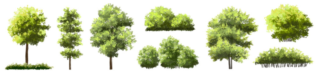 Obraz premium Vector watercolor tree or forest side view isolated on white background for landscape and architecture drawing,elements for environment or and garden,green tree for garden section