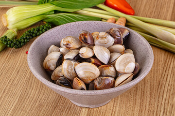Raw fresh wild clams mollusc © Andrei Starostin