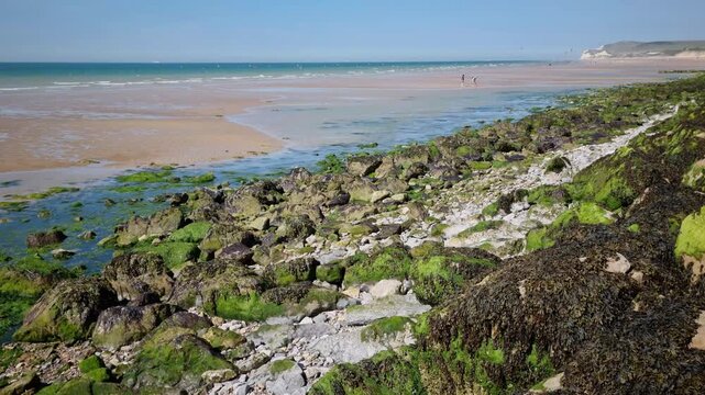 Moss Covering Rocks in the Opal Coast, North of France