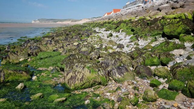 Moss Covering Rocks in the Opal Coast, North of France