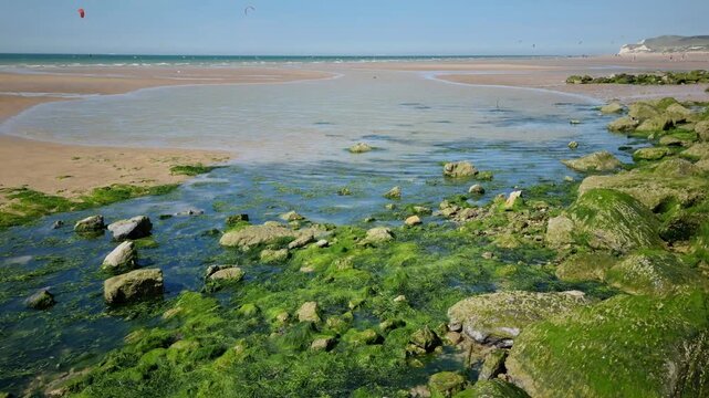 Moss Covering Rocks in the Opal Coast, North of France
