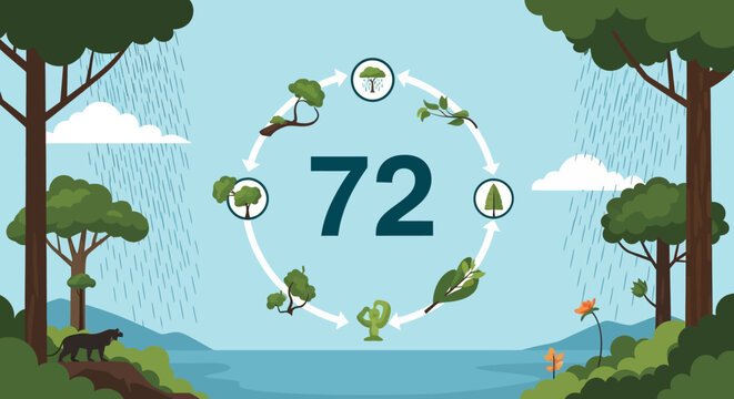 Forest Ecosystem Cycle with Number 72 Illustration
