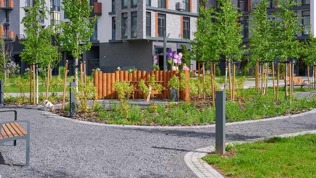 Cozy courtyard in a residential complex. Landscaping with trees and benches. Urban improvement.