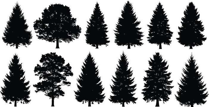 Mixed forest tree silhouettes collection isolated botanical woodland vector illustration artwork