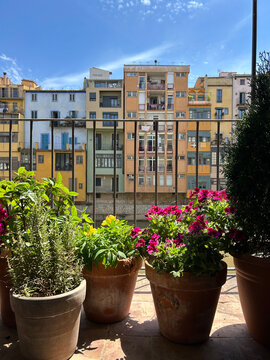 Temps de Flors Cases Onyar