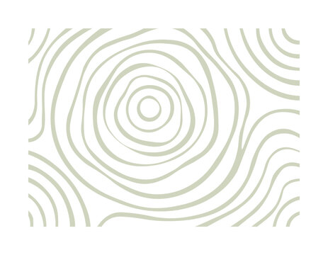 PrintAbstract tree ring pattern with organic wavy lines. Minimalist vector background of wood texture or topographic map contours.