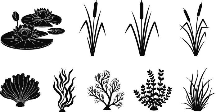 Aquatic plants and seaweed silhouettes collection nature vector illustration artwork set