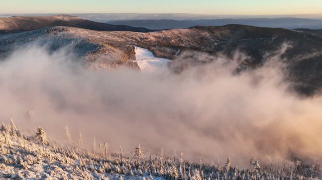 Snowy Winter Woods Mist Aerial Orbit After Sunrise