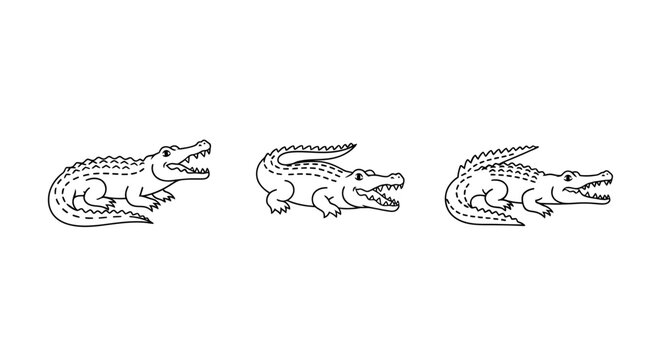Four Sequential Stages of Frog Development Illustrated.