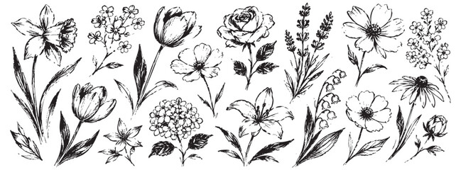 Collection of various hand drawn flowers, including rose, tulip, lily, lavender, and hydrangea, sketched in black ink isolated on white background. © Zbrake Studio
