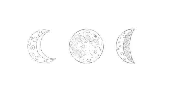 Detailed Moon Phases Illustration in Monochrome Style.