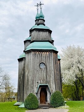 St. Paraskeva Church in Pyrohiv in spring, framed by blooming cherry trees. Wooden Ukrainian church surrounded by soft white and pink blossoms, peaceful heritage landscape
