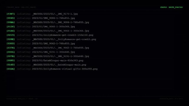Cyber Security Hack Console Terminal Displaying Brute Forcing Status Sequence And Target Hash Decryption Zip File Extraction Progress Logs.