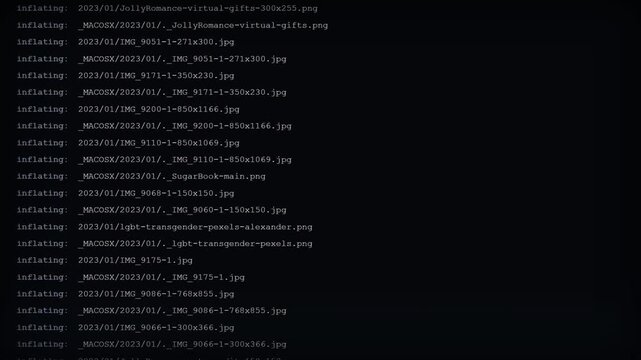 Command Line Terminal Screen Displaying Automated Server Zip File Extraction Progress And System Directory File Inflating Logs.