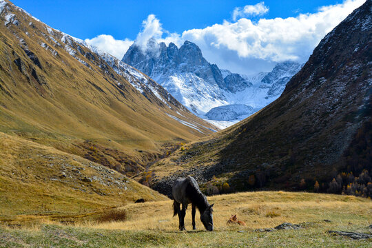 Chaukhebi Mountains in the village of Juta and horse, Kazbegi region, Georgia