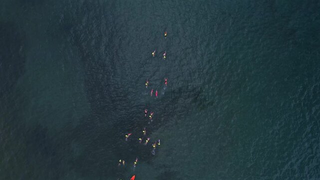 A group of swimmers training in open water ocean swimming, viewed from a bird&rsquo;s eye drone perspective. The athletes are wearing safety buoys and are surrounded by deep blue sea water, with the vast oc