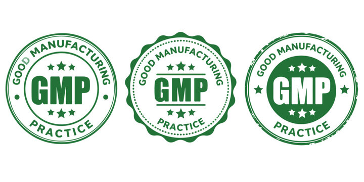 GMP Good Manufacturing Practice green stamp set, 3 quality assurance certification seals, industrial compliance and safety standard vector icons