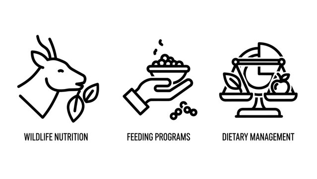 Wildlife nutrition feeding programs dietary management icons with wildlife nutrition management conservation agriculture livestock herbivore illustration research wellbeing sustenance