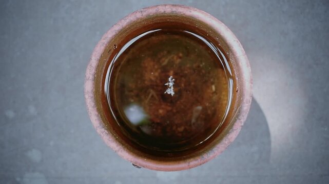 An old terracotta vase filled with water - closeup view from above