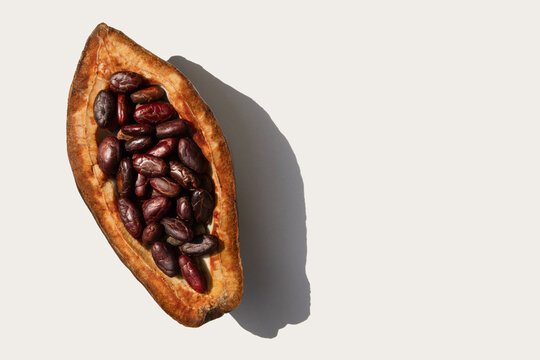 Cocoa beans. Half of the fruit. On a white background with sunlight and shadow.