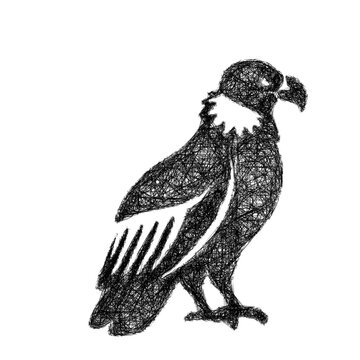 Sketch condor icon design