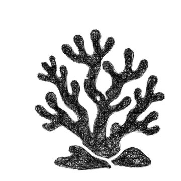Monochrome sketch coral icon design
