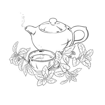Stevia Tea in Teapot aroma beverage Outline Illustration. Vector isolated for Design and Decoration for Cafeteria, Posters, Banners, Cards.