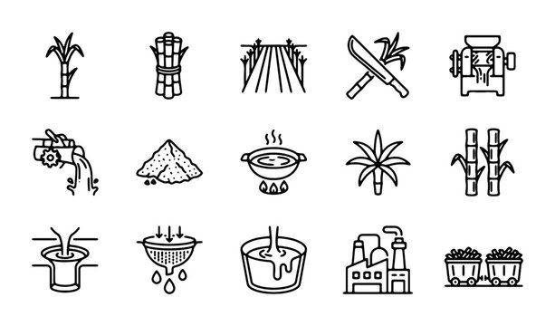 Sugarcane Farming and Processing Icons, Agriculture Industry Vector Set