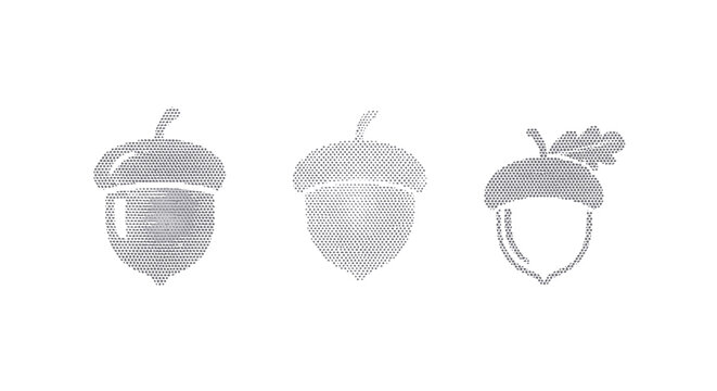 Three stylized acorn illustrations in sequence.