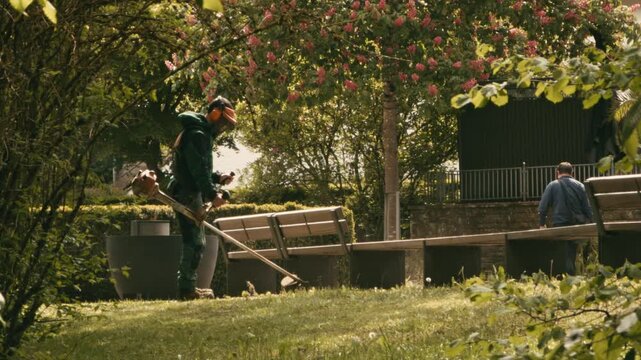 Professional gardener wearing safety gear and a helmet using a string trimmer to cut grass and weeds near park benches and blooming trees on a sunny day.