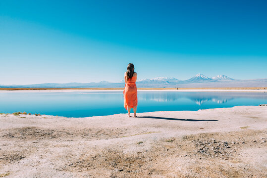 Chile, Atacama Desert, back view of woman standing on edge of Laguna Cejar