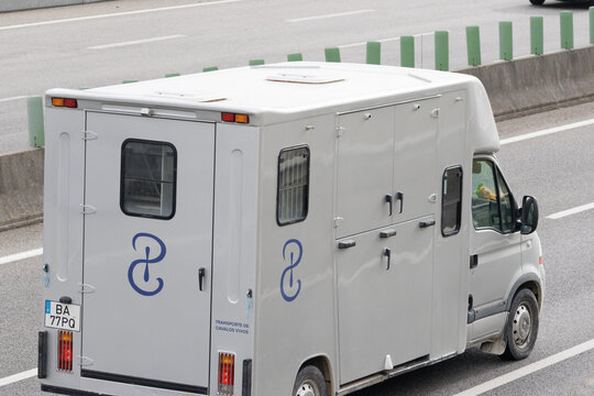 Horsebox transporting live horses on highway