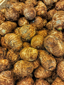 A pile of raw Eddo (Colocasia antiquorum) roots, a tropical vegetable known for its starchy texture and brown, hairy skin.