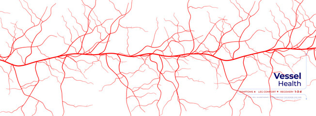 Naklejka na ściany i meble Red Veins Mesh Cell Vascular Network Pattern on White Background for Hematology Science Innovation Tech Research, Circulatory Medical Brochure BG. Health Awareness Poster. Vector Illustration