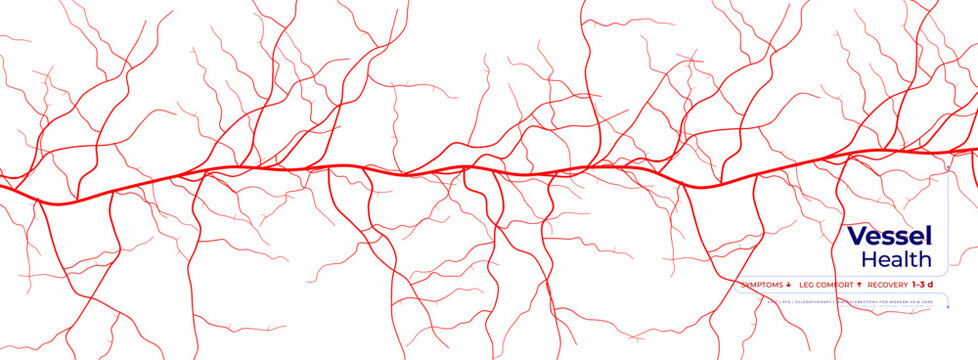 Red Veins Mesh Cell Vascular Network Pattern on White Background for Hematology Science Innovation Tech Research, Circulatory Medical Brochure BG. Health Awareness Poster. Vector Illustration