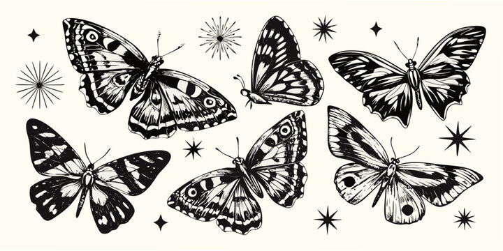 Black And White Butterfly Illustrations With Starbursts And Diamond Shapes