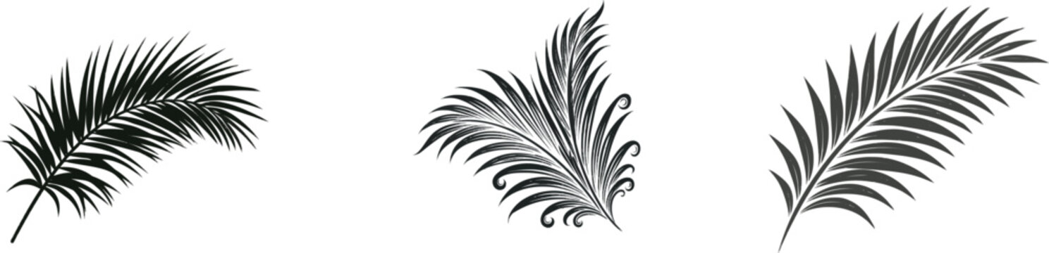 A minimalist botanical silhouette of a palm frond with symmetrical geometric corner motifs, set against a solid black background for high-contrast vector design