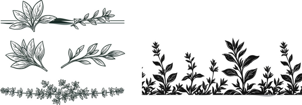 The ornamental botanical border trim features a continuous sage and thyme pattern in vintage woodcut engraving style with high contrast black line art on a crisp white background