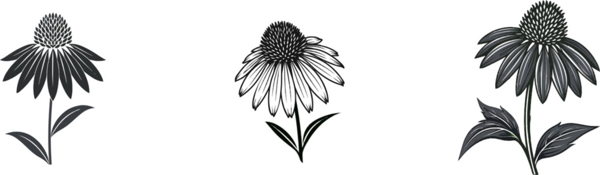 A minimalist modern botanical silhouette of Echinacea Coneflower in solid black color fill against a solid white background, featuring clean sharp edges and high-contrast vector design elements