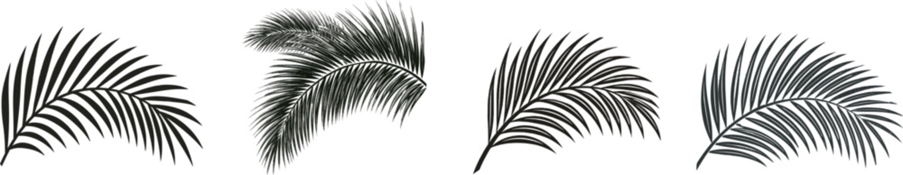 A minimalist modern botanical silhouette of a palm leaf with geometric corner motifs in solid black on a white background, perfect for vector tracing
