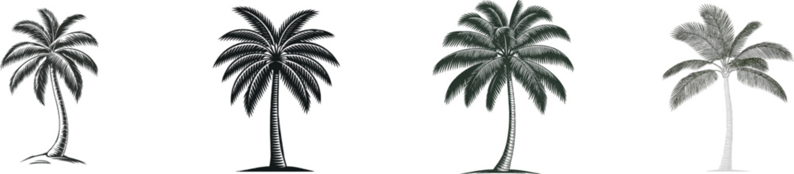 A minimalist botanical drawing of a coconut palm tree features crisp black lines on a stark white background, ideal for vector tracing
