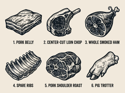 Linocut style pork cut illustration set with belly, loin, ham, rib, shoulder, and trotter on cream background