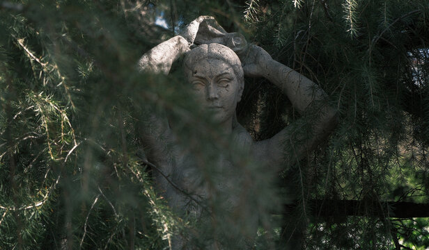 The Stone Nimph