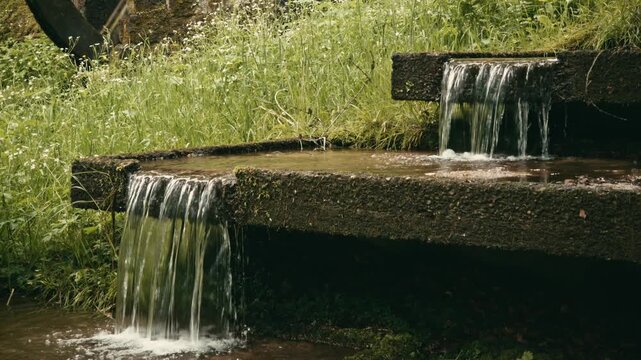 Water cascading over moss-covered concrete ledges in a tiered stream or weir system, surrounded by tall green grass and small white wildflowers in a natural outdoor setting