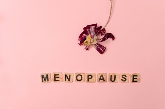 Menopause word with dried flower on pink background symbolizing female aging and health