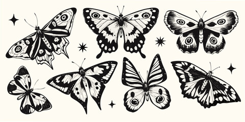 Black And White Butterfly Illustrations With Decorative Wing Patterns © Gita