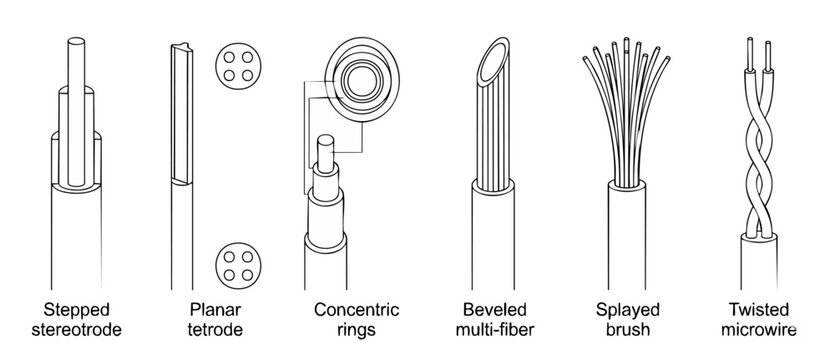 Microelectrode types neural probe diagram showing scientific structures of stepped stereotrode, planar tetrode, concentric rings, beveled multi-fiber, splayed brush, and twisted microwire sensors.