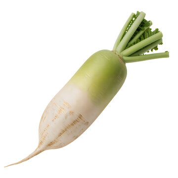 Fresh white daikon radish with green leafy top isolated on transparent background