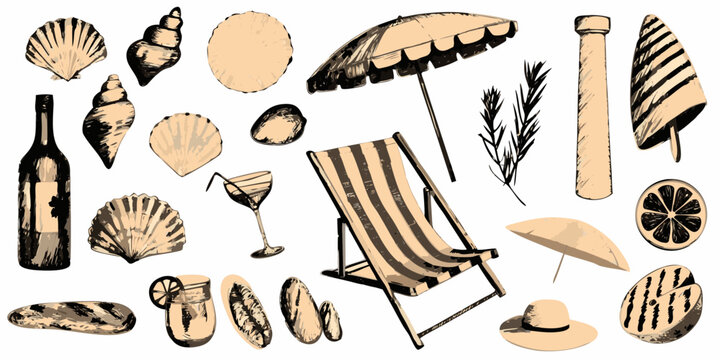 Summer Leisure Collection Shells Beach Chair And Citrus Fruit Illustration
