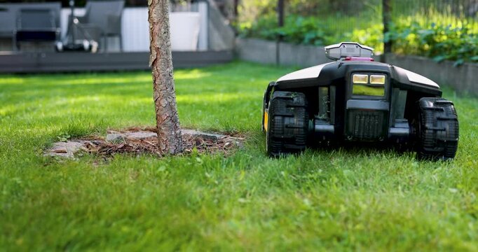 Robotic lawn mower working at garden cutting lush green grass. Avoids obstacle drives around tree